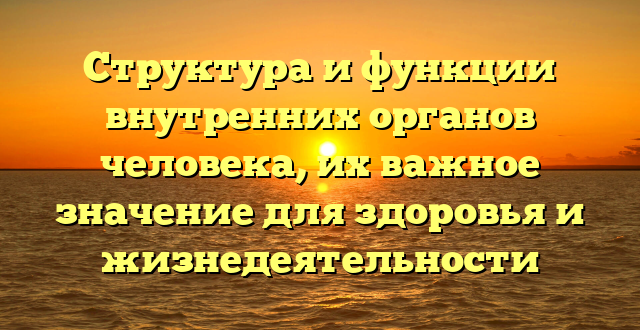 Структура и функции внутренних органов человека, их важное значение для здоровья и жизнедеятельности