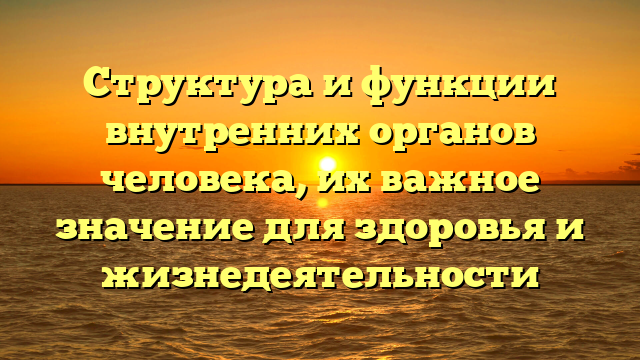 Структура и функции внутренних органов человека, их важное значение для здоровья и жизнедеятельности