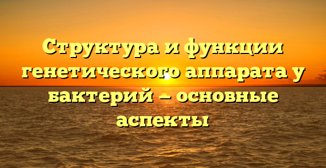 Структура и функции генетического аппарата у бактерий — основные аспекты