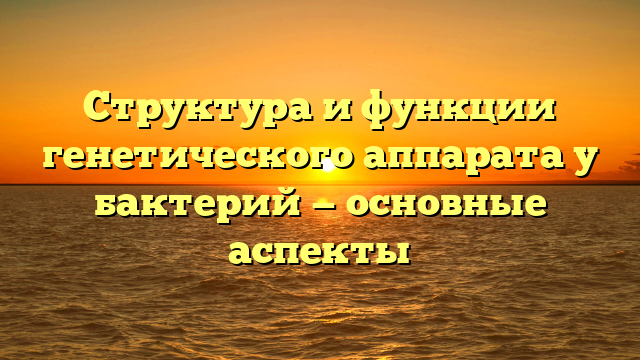 Структура и функции генетического аппарата у бактерий — основные аспекты