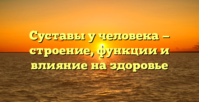 Суставы у человека — строение, функции и влияние на здоровье