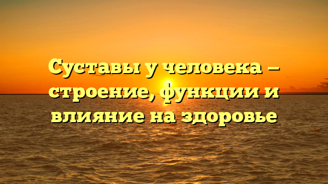 Суставы у человека — строение, функции и влияние на здоровье