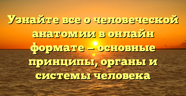 Узнайте все о человеческой анатомии в онлайн формате — основные принципы, органы и системы человека