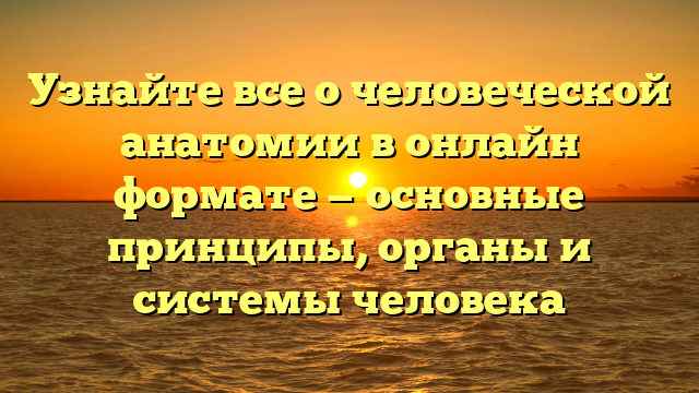 Узнайте все о человеческой анатомии в онлайн формате — основные принципы, органы и системы человека