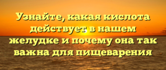 Узнайте, какая кислота действует в нашем желудке и почему она так важна для пищеварения