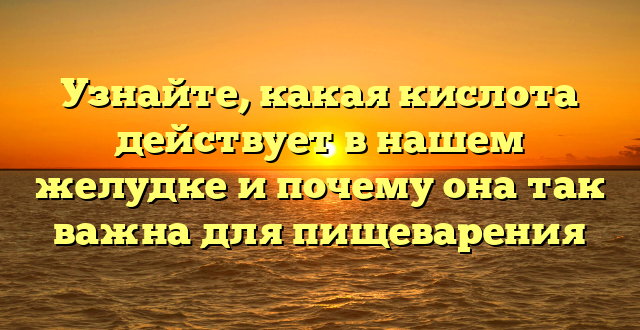 Узнайте, какая кислота действует в нашем желудке и почему она так важна для пищеварения