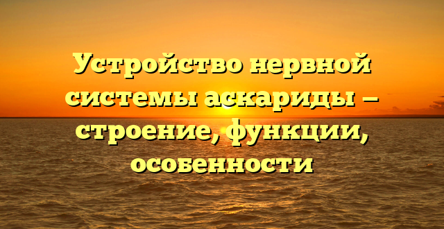 Устройство нервной системы аскариды — строение, функции, особенности