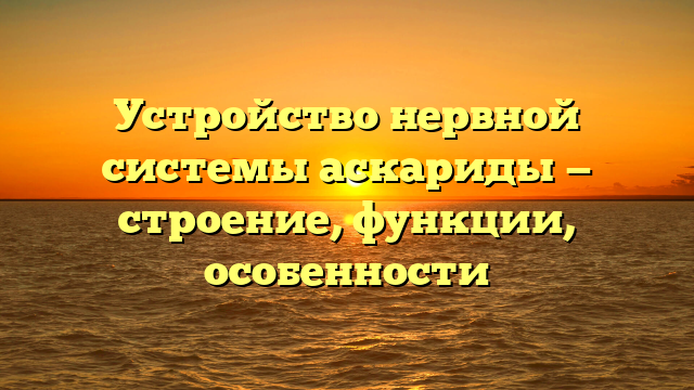 Устройство нервной системы аскариды — строение, функции, особенности