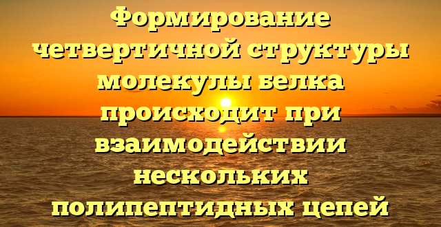 Формирование четвертичной структуры молекулы белка происходит при взаимодействии нескольких полипептидных цепей