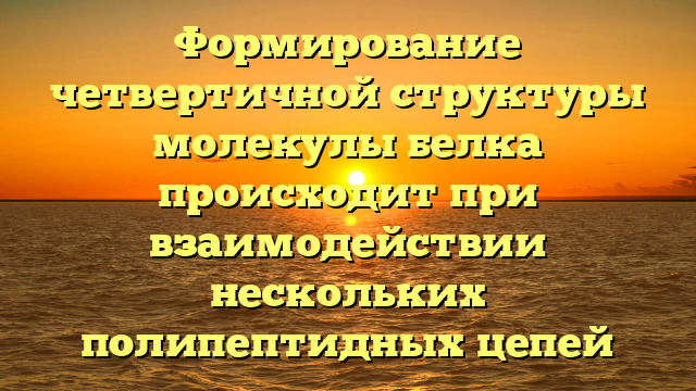 Формирование четвертичной структуры молекулы белка происходит при взаимодействии нескольких полипептидных цепей