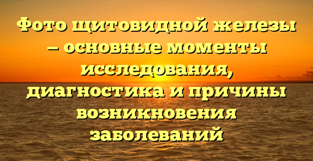 Фото щитовидной железы — основные моменты исследования, диагностика и причины возникновения заболеваний