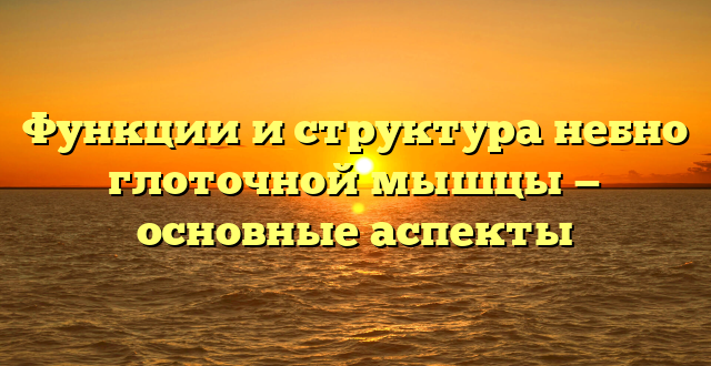 Функции и структура небно глоточной мышцы — основные аспекты