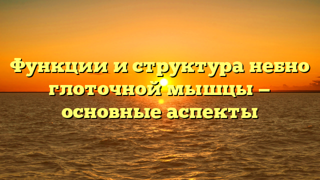 Функции и структура небно глоточной мышцы — основные аспекты