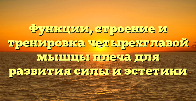 Функции, строение и тренировка четырехглавой мышцы плеча для развития силы и эстетики