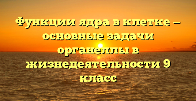 Функции ядра в клетке — основные задачи органеллы в жизнедеятельности 9 класс