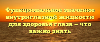 Функциональное значение внутриглазной жидкости для здоровья глаза — что важно знать