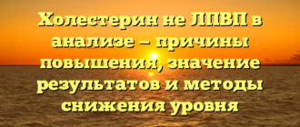 Холестерин не ЛПВП в анализе — причины повышения, значение результатов и методы снижения уровня