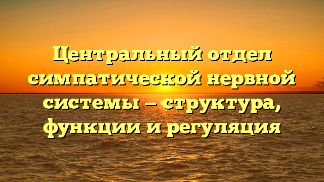 Центральный отдел симпатической нервной системы — структура, функции и регуляция