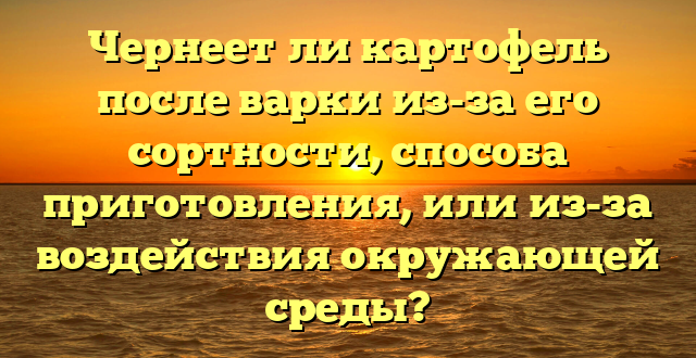 Чернеет ли картофель после варки из-за его сортности, способа приготовления, или из-за воздействия окружающей среды?