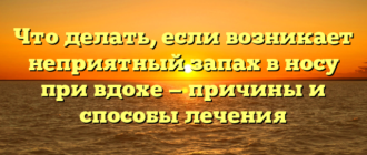 Что делать, если возникает неприятный запах в носу при вдохе — причины и способы лечения