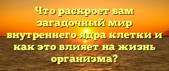 Что раскроет вам загадочный мир внутреннего ядра клетки и как это влияет на жизнь организма?