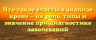 Что такое бласты в анализе крови — их роль, типы и значение при диагностике заболеваний