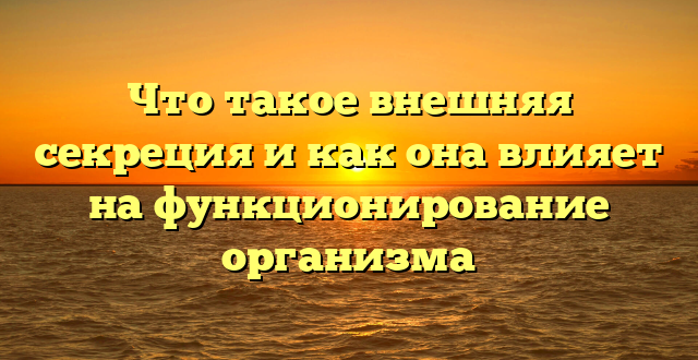 Что такое внешняя секреция и как она влияет на функционирование организма