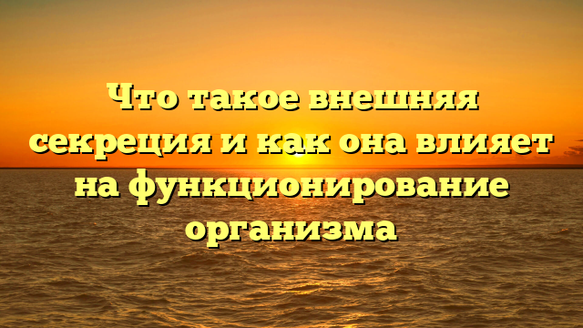 Что такое внешняя секреция и как она влияет на функционирование организма