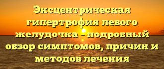 Эксцентрическая гипертрофия левого желудочка – подробный обзор симптомов, причин и методов лечения