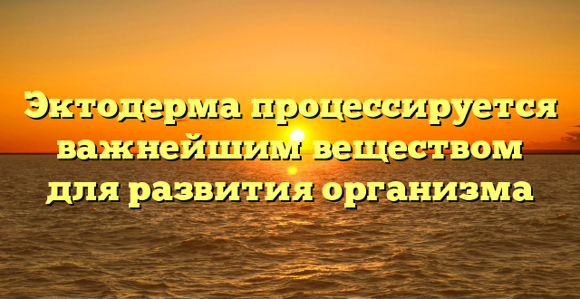 Эктодерма процессируется важнейшим веществом для развития организма