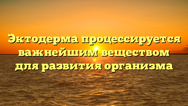 Эктодерма процессируется важнейшим веществом для развития организма