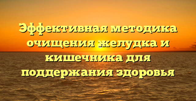 Эффективная методика очищения желудка и кишечника для поддержания здоровья