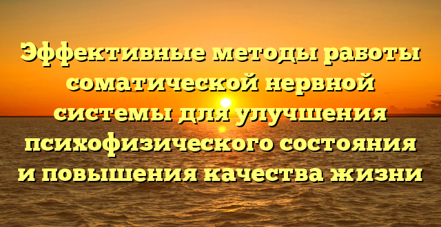 Эффективные методы работы соматической нервной системы для улучшения психофизического состояния и повышения качества жизни