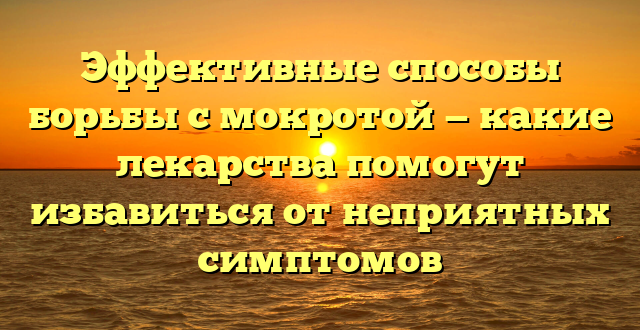 Эффективные способы борьбы с мокротой — какие лекарства помогут избавиться от неприятных симптомов