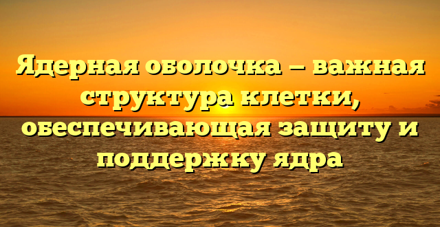 Ядерная оболочка — важная структура клетки, обеспечивающая защиту и поддержку ядра