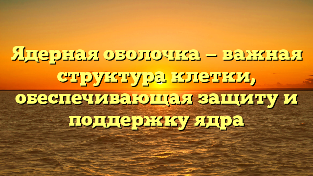 Ядерная оболочка — важная структура клетки, обеспечивающая защиту и поддержку ядра